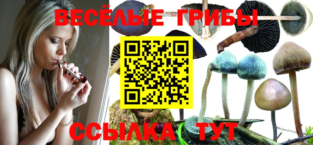 Псилоцибиновые грибы GOLDEN TEACHER  Вход с VPN  Мирный 