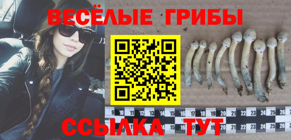 Галлюциногенные грибы Psilocybine cubensis Мирный